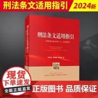 2024新书 刑法条文适用指引 根据刑法修正案十二全新编写 时延安刘传稿孙俊青 立案量刑标准相关规定指导案例法律实务书籍
