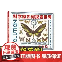 科学家如何探索世界:华莱士与进化论 达尔文进化论 生物科学家名人传记 图画书少儿科普