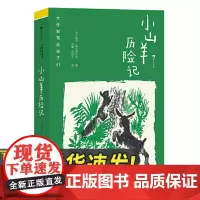 大作家写给孩子们第二级小山羊历险记法兰西学院文学大奖作家经典儿童小说用乐观自由的形象隐喻儿童用动物的冒险之旅象征成长之路