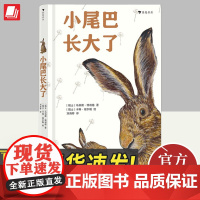 小尾巴长大了(安徒生奖、林格伦奖提名插画师倾力加盟,是孩子不可错过的睡前读物)儿童读物书籍