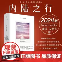 2024新书内陆之行 彼得·汉德克著 她要去那个地方 要去那片土地在等待着看她 外国小说书籍正版上海人民出版社