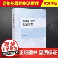 2024新书 网络犯罪的刑法原理 汪恭政 法律出版社9787519787523