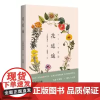 正版图书 花逍遥 [日]涩泽龙彦 著 张斌璐 译 上海贝贝特