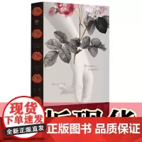 正版书 红唇(阿根廷)曼努埃尔·普伊格 著 李毓琦 译 北京贝贝特 广西师范大学出版社