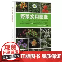 正版 野菜实用图鉴 苟光前,杨传东,代朝霞 编 贵州科技出版社 植物大百科全书科学与自然生物科学科普知识书籍