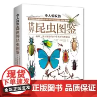 令人惊叹的世界昆虫图鉴