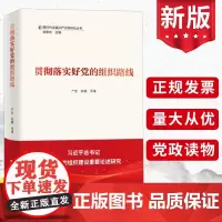 2024版 贯彻落实好党的组织路线 新时代全面丛严治党研究丛书 严宏 陈鹏 学习出版社 党风廉政建设纪检监察党政党建