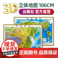 [精雕版]世界地图和中国地图 约1.1x0.8米 3d立体凹凸地形图 高清精雕比例还原 PVC环保材质 办公家用学生专用