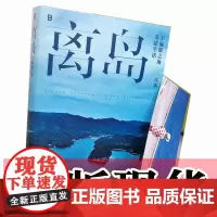 正版书 离岛:于偏僻之地重建生活 库索著 北京贝贝特 广西师范大学出版社