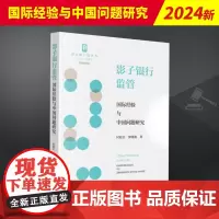 2023新书 影子银行监管 国际经验与中国问题研究 封延会 贾晓燕 赛达法丛书 法律出版社9787519774042