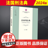 2023新书 法国刑法典 胡云腾总主编 孙平译 北京师范大学刑事法律科学研究院外国刑法典译丛 法律出版社 9787519