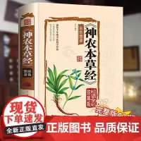 [单册]神农本草经 全彩珍藏版中医药学典藏彩色图鉴实用的现代家庭养生全书指导现代人的日常食疗食养 中医养生书籍 正版