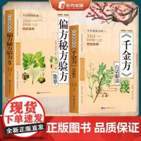 [2册]千金方+偏方秘方验方 白话解读治病养生经典方剂国学经典养生智慧中医经典百科图书人人看得懂的中医养生书籍 正版