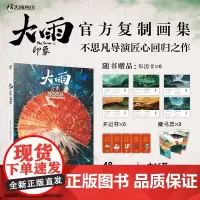 正版 大雨·印象:复制画集 彩条屋影业著 湖南美术出版社 9787574603639