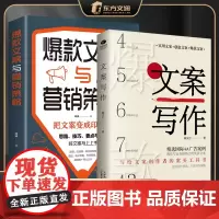 [2册]文案写作+文案与营销策略 实用文案创意文案文案 写给文案创作者的案头工具书策划推广写作技巧广告营销文