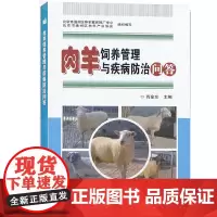 肉羊饲养管理与疾病防治问答 肉羊养殖技术大全书养羊书 肉羊选种选育饲养管理 羊圈舍消毒肉羊驱虫免疫 肉羊繁殖疾病羊病诊断