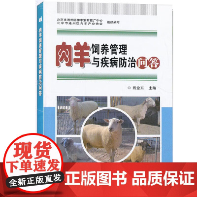 肉羊饲养管理与疾病防治问答 肉羊养殖技术大全书养羊书 肉羊选种选育饲养管理 羊圈舍消毒肉羊驱虫免疫 肉羊繁殖疾病羊病诊断