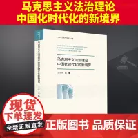 2023新书 马克思主义法治理论中国化时代化的新境界 公丕祥 中国法治现代化研究丛书 法律出版社978751978437