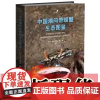 正版书 中国潮间带螃蟹生态图鉴 张小蜂、徐一扬 著 重庆大学出版社