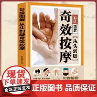 [彩绘图解]从头到脚奇效按摩 头部腰部眼部脚底腿部背部足底脸部按摩书籍 人体经络穴位按摩大全书手法教程中医推拿按摩书 正