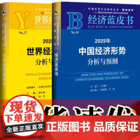 正版[单套自选 2册]世界经济黄皮书:2025年世界经济形势分析与预测+经济蓝皮书:2025年中国经济形势分析与预测