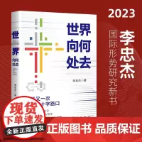 李忠杰2023新书 世界向何处去 国际战略政治格局外交关系问题百年未有之大变局下中国政策向何处去怎么办大国博弈地缘党史党