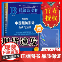 正版 经济蓝皮书 2025年中国经济形势分析与预测 王昌林 主编 社科文献