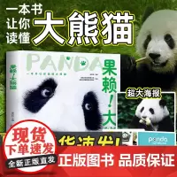 [成都发货]果赖!大熊猫 一本书了解国宝熊猫画册入门礼品笔记本贴纸文创生日礼物内含熊猫花花海报和叶萌兰七仔高清萌图图书籍