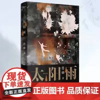 正版《太阳雨》作家肖睿长篇悬疑小说导演张大磊、悬疑作家慢三悬疑