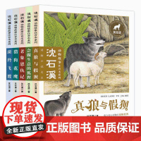 沈石溪动物小说故事注音本系列全套5册 斑羚飞渡 真狼与假狈 会做生意的狐狸 老象恩仇记 6-10-12岁儿童文学二三年学