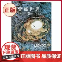 正版 俯瞰世界:从热气球到无人机 恩里科·拉瓦尼奥著 中国科学技术出版社 9787523600290
