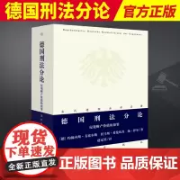 2023新 德国刑法分论 侵犯财产价值的犯罪 [德]约翰内斯·韦塞尔斯托马斯·希伦坎普 扬·舒尔赵冠男译当代德国法学名著