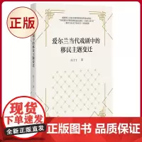 正版 爱尔兰当代戏剧中的移民主题变迁 向丁丁著 广西师范大学出版社 9787559863249
