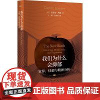 我们为什么会抑郁:哀悼、忧郁与精神分析 在抑郁症蔓延的时代,我们需要的不仅是药物,更要学会正确面对悲伤