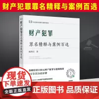 2023新书 财产犯罪罪名精释与案例百选 陈洪兵著导读条文罪名精释穿插案例法律出版社9787519782764