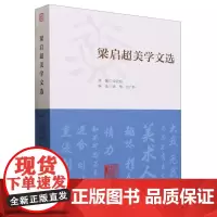 正版书 梁启超美学文选 金雅著 中国社会科学出版社