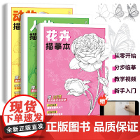 花卉动物人物 描摹本 基础素描入门 赠视频教学 临摹画集 生活速写教程 画画自学入门零基础 铅笔画针管笔钢笔 描红画本线