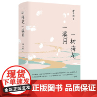 预售正版书 一树梅花一溪月 潘小娴 纯粹出品 广西师范大学出版社