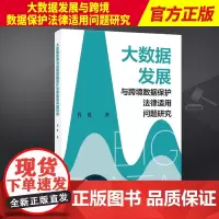 2023新书 大数据发展与跨境数据保护法律适用问题研究 肖夏著 知识产权出版社9787513085090