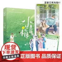 正版 小青梅 晋江人气作家江小绿著 青梅竹马双向奔赴的心动初恋 俏皮小青梅vs宠溺小竹马 新蕾出版社 9787572