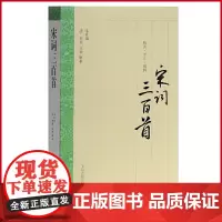 正版 宋词三百首 大开本国学普及书系 品鉴宋词艺术 上海古籍出版社 9787532576289