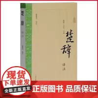 正版 楚辞译注 董楚平译注 含楚辞原文/题解/注释/白话译文/简体横排 适合入门读者 大开本国学普及书系 上海古籍出