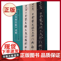 正版 名家临名帖系列 董其昌 何绍基临争座位帖对照 三位书法大家演绎《争座位帖》,精彩纷呈,殊途同归 9787540