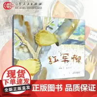 正版 红军柳 高洪波 刘麦 红色绘本系列长征故事绘本 山东人民出版社