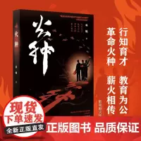 正版《火种》袁锐/著重庆出版社长篇历史小说