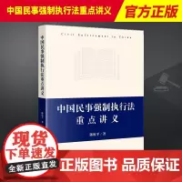2023新书 中国民事强制执行法重点讲义 陈杭平 著 民事强制执行法体系书 民事执行法规范 法律出版社 978751