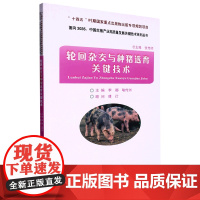 正版书籍 轮回杂交与种猪选育关键技术 面向2035中国生猪产业高质量发展关键技术系列丛书 养殖工作者 育种人员及相关科技