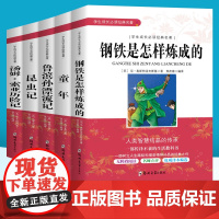 鲁滨孙逊漂流记汤姆索亚历险记童年昆虫记钢铁是怎样炼成的原著全5本 三四五六七八九年级课外阅读书籍 中小学生成长经典名著