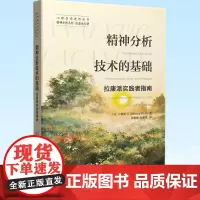 正版 精神分析技术的基础 拉康派实践者指南 心理咨询进阶丛书 精神分析系列?拉康派专著 9787552030570