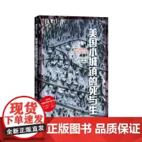 正版 美国小城镇的死与生/译文纪实系列 [美]尼克·雷丁 著 徐晓丽 译 上海译文出版社